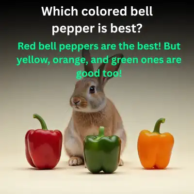 Which colored bell pepper is best Can Rabbits Eat Bell Peppers?-Which colored bell pepper is best
