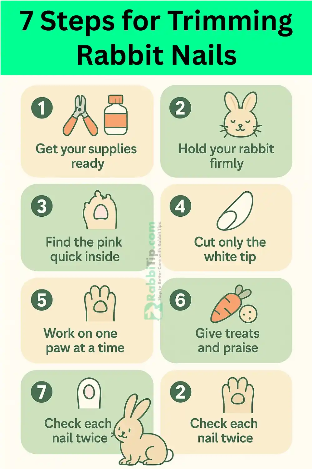 7 Steps for Trimming Rabbit Nails Infographic showing 7 easy steps for safely trimming rabbit nails for USA pet owners-Trim Rabbit Nails