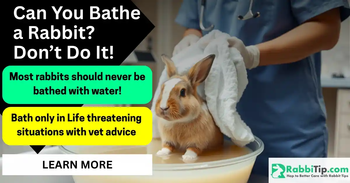 Veterinarian carefully bathing an injured rabbit in a shallow basin at a clinic, supporting the rabbit’s body safely-Can You Bathe a Rabbit post.
