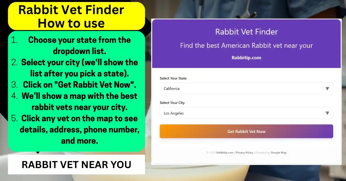 How to Use the Rabbit Vet Finder – Step-by-Step Guide-Rabbit vet near you Rabbit vet finder step-by-step instructions with dropdown selection showing California and Los Angeles-Rabbit vet near your