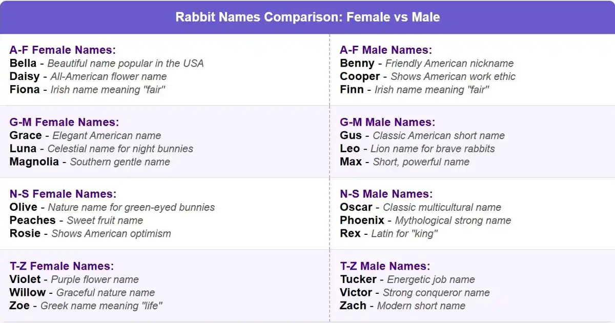 Male vs Female Rabbit name-Adorable Bunny Names Male Adorable Bunny Names vs Female Adorable Bunny Names