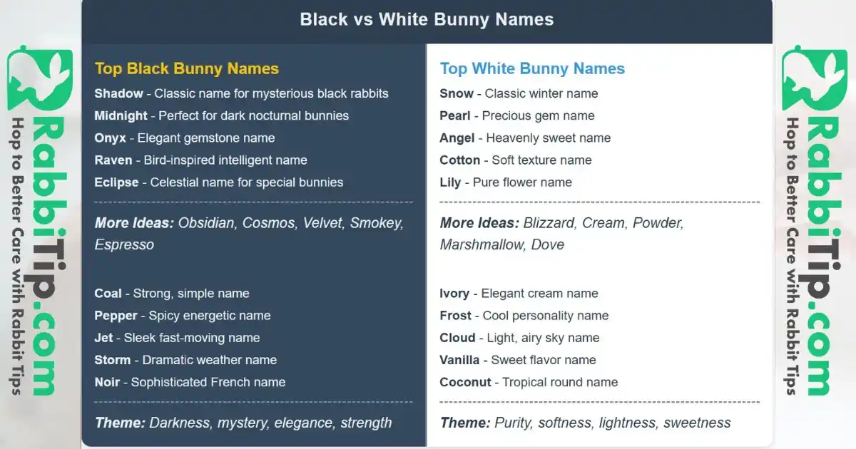 rabbit names black and white-rabbitip-Adorable Bunny Names black colored adorable bunny names vs. white colored adorable bunny names.