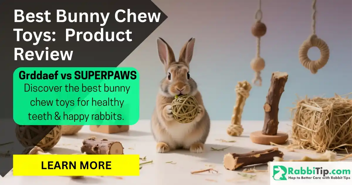 Rabbit holding a chew ball surrounded by natural bunny chew toys – Grddaef vs SUPERPAWS product comparison