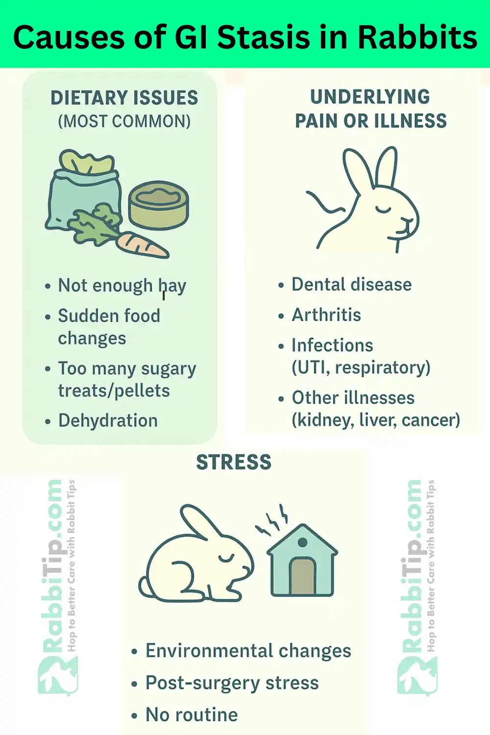 Causes of GI Stasis in Rabbits – Infographic Guide Infographic showing the main causes of Bunny GI stasis in rabbits, including dietary issues, pain or illness, and stress.