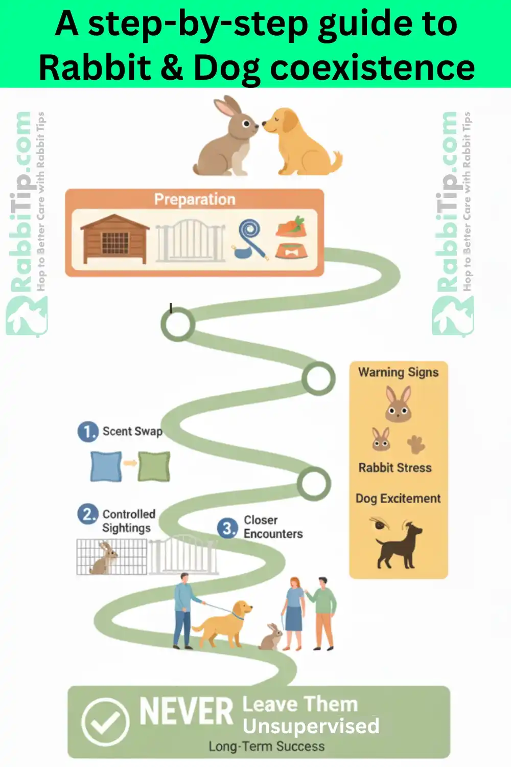 Illustration of a controlled introduction: one person holds a calm dog on a short leash while another person sits with a rabbit on the floor in a neutral room.