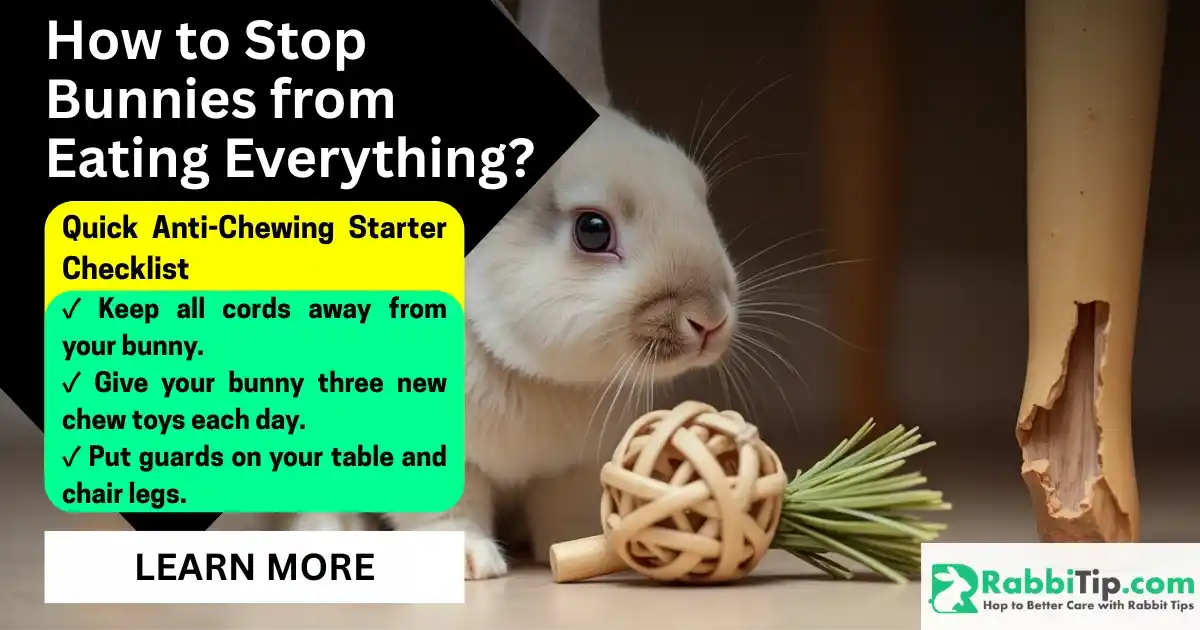 White bunny chewing on a furniture leg with anti-chewing checklist showing tips to stop bunnies from eating everything at home.